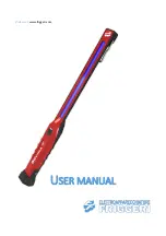 EF FR-DEVIRA User Manual предпросмотр