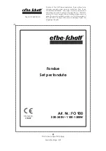 EFBE-SCHOTT FO 900 Manual preview