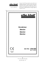 EFBE-SCHOTT STM 800 Manual предпросмотр