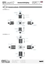 Preview for 4 page of EFFILUX LASE V2 PSV User Manual