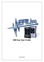 EFILive GM Gas User Manual preview