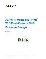 Efinix Trion T20 Using Manual предпросмотр