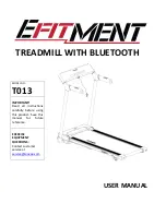 Efitment T013 User Manual preview