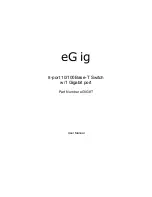 EGig eG1G8T User Manual preview