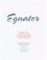 Egnater MOD 100 User Manual preview