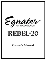 Предварительный просмотр 1 страницы Egnater Rebel-20 Owner'S Manual