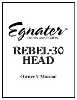 Egnater Rebel-30 Head Owner'S Manual preview