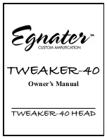 Предварительный просмотр 1 страницы Egnater TWEAKER-40 HEAD Owner'S Manual