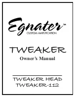 Egnater Tweaker Owner'S Manual предпросмотр