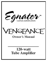 Egnater VENGEANCE Owner'S Manual предпросмотр