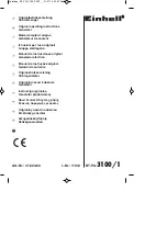 EINHELL BT-PG 3100/1 Original Operating Instructions предпросмотр