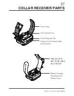 Preview for 8 page of Einstein E-Collar ET-302TS Owner'S Manual