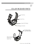 Предварительный просмотр 8 страницы Einstein E-Collar ET-700A Owner'S Manual