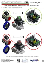 Предварительный просмотр 2 страницы Eisenbau GuaRdboX-SIL GD Series Safety Manual