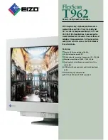 Eizo EIZO FlexScan T 962  T962 T962 Specification предпросмотр