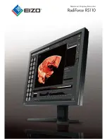 Eizo EIZO RadiForce RS110 Specification предпросмотр