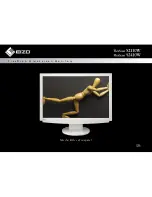 Eizo FlexScan S2110W Brochure & Specs preview