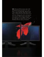 Предварительный просмотр 3 страницы Eizo FlexScan SX Series Specifications