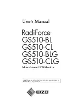 Eizo IEC60601-1-1 User Manual preview