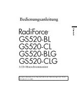 Preview for 3 page of Eizo RadiForce GS520 (German) Bedienungsanleitung