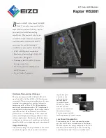 Eizo RAPTOR WS3001 Brochure preview