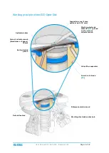 Preview for 5 page of EL-CELL ECC-Opto-Std User Manual