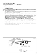 Предварительный просмотр 49 страницы Elba ES60-310 XD Instructions For The Use