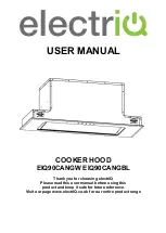 ElectrIQ EIQ90CANGBL User Manual предпросмотр