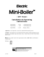 Electro Industries Mini-Boiler EMB-1 Installation & Operating Instructions Manual preview