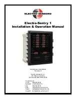 Electro-Sensors Electry-Sentry 1 Installation & Operation Manual preview