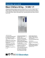 Electrolux 10 GN 1/1 Brochure & Specs preview