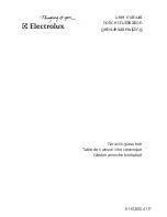 Предварительный просмотр 1 страницы Electrolux EHS 60041 P User Manual