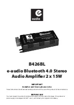 Electrovision e-audio B426BL Manual предпросмотр