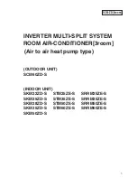 Elektronika SCM60ZD-S Manual preview