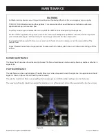 Предварительный просмотр 42 страницы Element4 Lucius 140 GSB Installation, Operation And Owner'S Manual