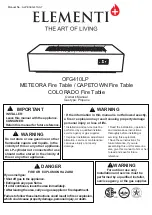 Предварительный просмотр 1 страницы ELEMENTI CAPETOWN OFG410LP Owner'S Manual