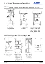 Elesta AHS Series Mounting предпросмотр