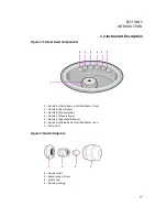 Предварительный просмотр 19 страницы ELITechGroup 7722 Applications Manual