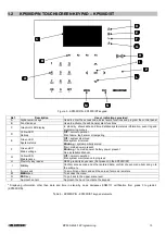 Предварительный просмотр 13 страницы Elkron MP500/16 Programming Manual