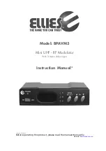 Ellies BPAVM3 Instruction Manual preview