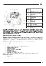 Preview for 35 page of Elpumps VB 20/800 User Manual