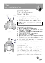 Elster S100 Commissioning Instructions предпросмотр