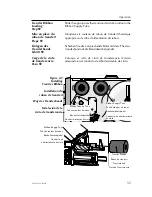 Preview for 63 page of Eltron TLP2046 User Manual