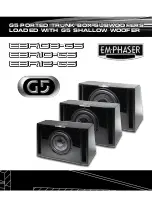 EM-Pasher G5 Series Quick Start Manual preview