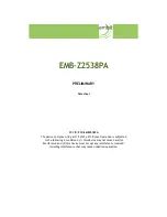 Предварительный просмотр 1 страницы Embit EMB-Z2538PA Preliminary Data Sheet