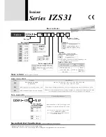 Preview for 12 page of EMC IZS31 Series Manual