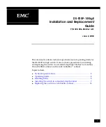 EMC2 DS-F20P-10GigE Installation And Replacement Manual предпросмотр