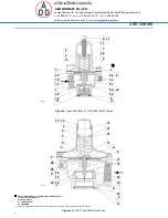 Предварительный просмотр 11 страницы Emerson 289 Series Instruction Manual