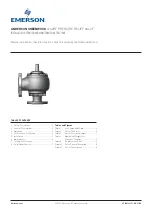 Emerson ANDERSON GREENWOOD 4142HF Installation, Operation And Maintenance Instructions preview