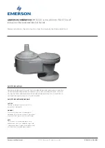 Предварительный просмотр 1 страницы Emerson ANDERSON GREENWOOD WHESSOE 4110A Installation, Operation And Maintenance Instructions